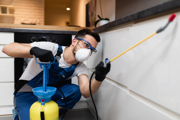 Best Cockroach Control Services  in St Helens, OR