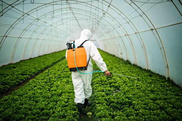 Best Pest Inspection Near Me  in St Helens, OR