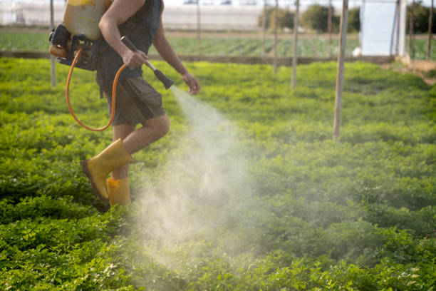 Best Wildlife Control Services  in St Helens, OR