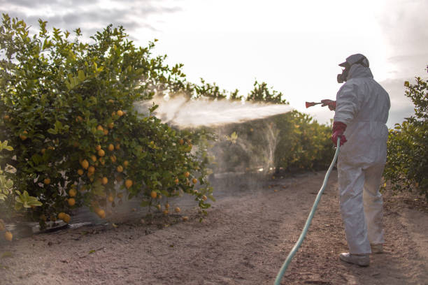 Wildlife Control Services in St Helens, OR