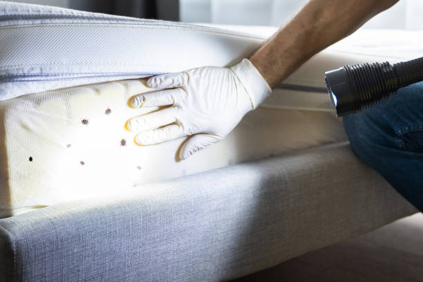 Best Pest Removal Services  in St Helens, OR