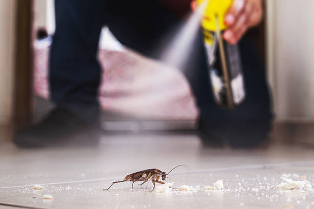 Best Rat Extermination Near Me  in St Helens, OR
