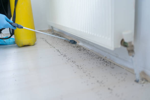 St Helens, OR Pest Control Company